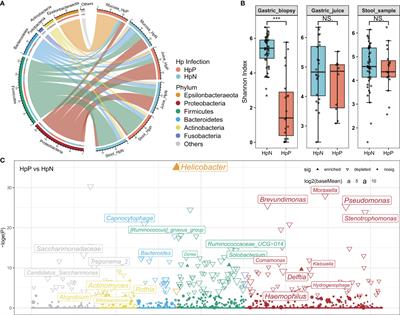 Gastrointestinal Microbiota Changes in Patients With Gastric Precancerous Lesions